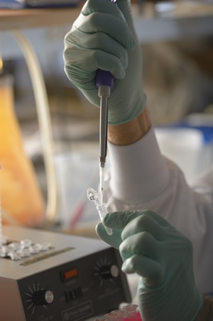 A gloved hand fills a test tube in the Simpkins Lab